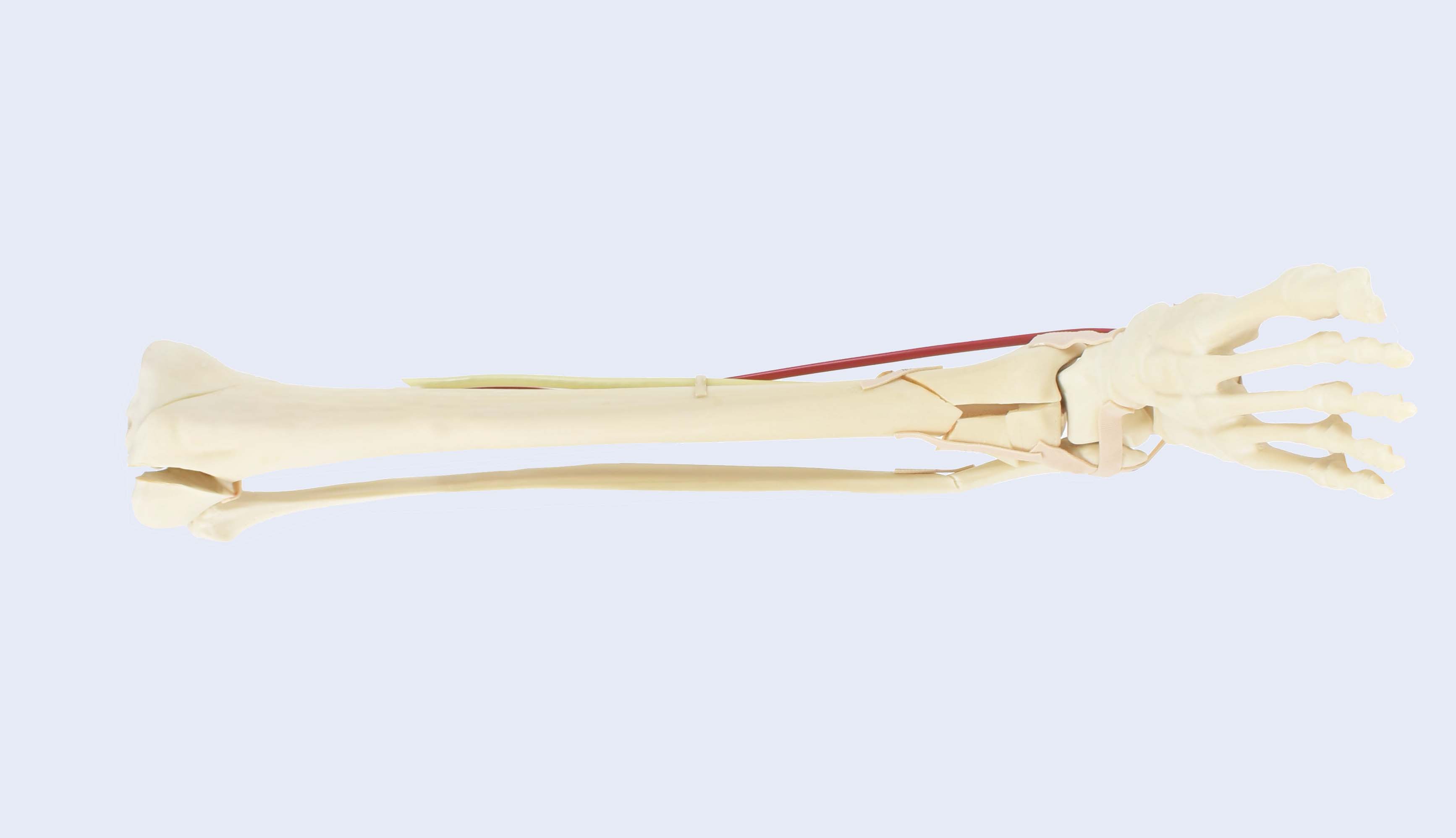 Product
Image
