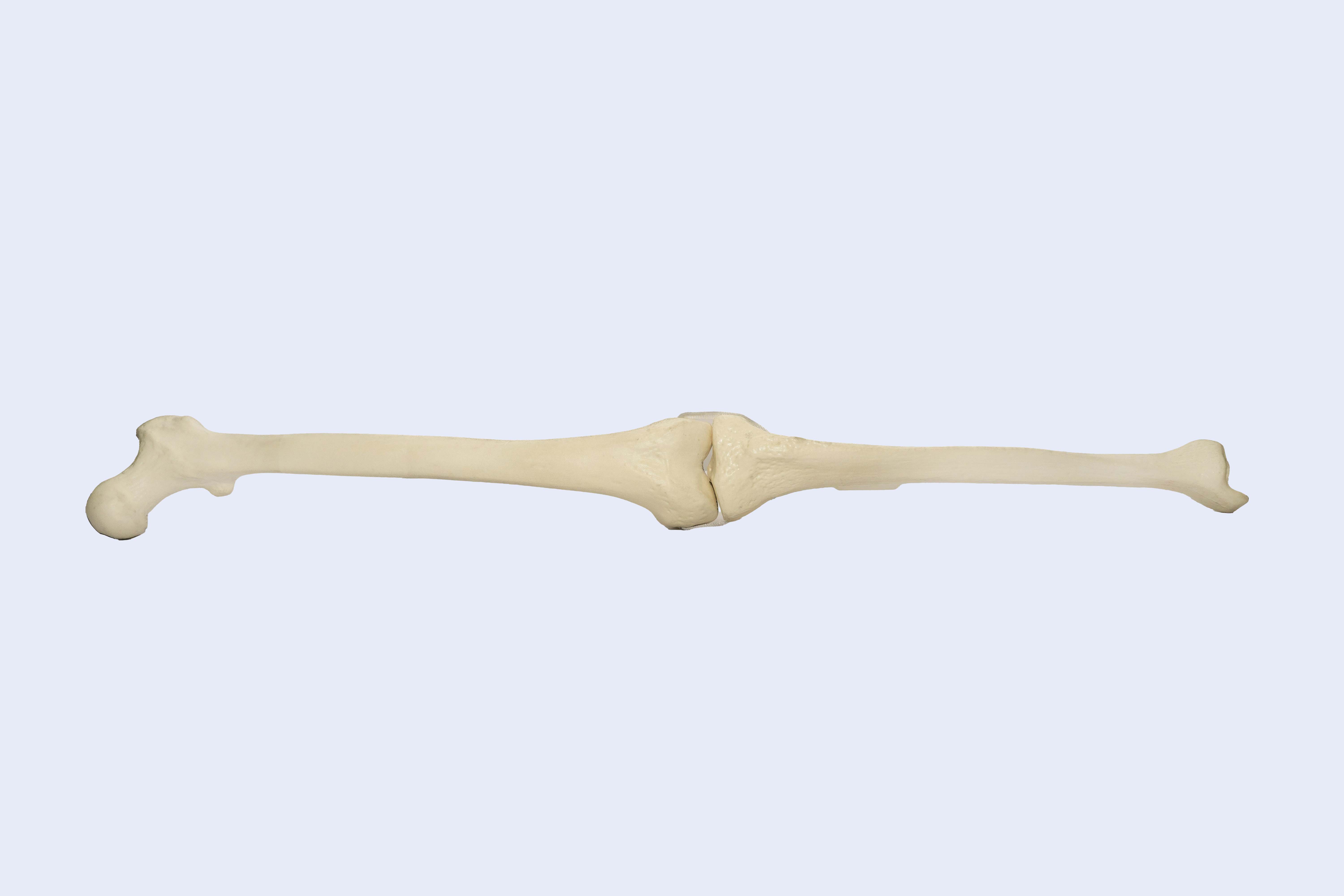 Product
Image